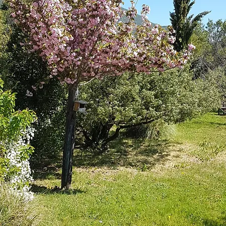 Lou Pic Au Loup De Charme Prázdninový dům *