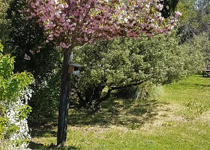 Lou Pic Au Loup De Charme Hébergement de vacances *